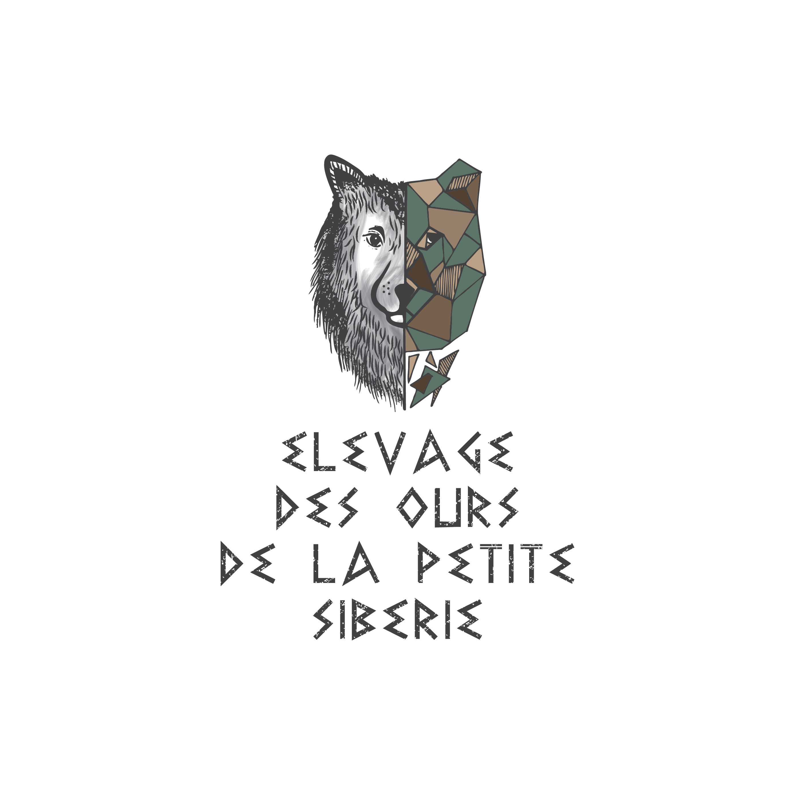 Des Ours De La Petite Sibérie